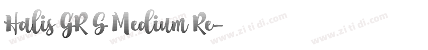 Halis GR S Medium Re字体转换